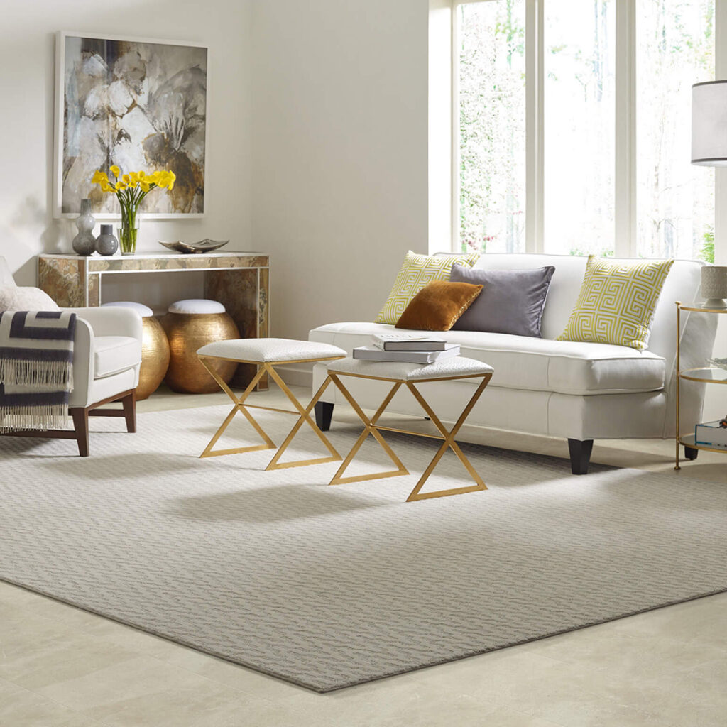 Area Rug | Bud Polley's Floor Center