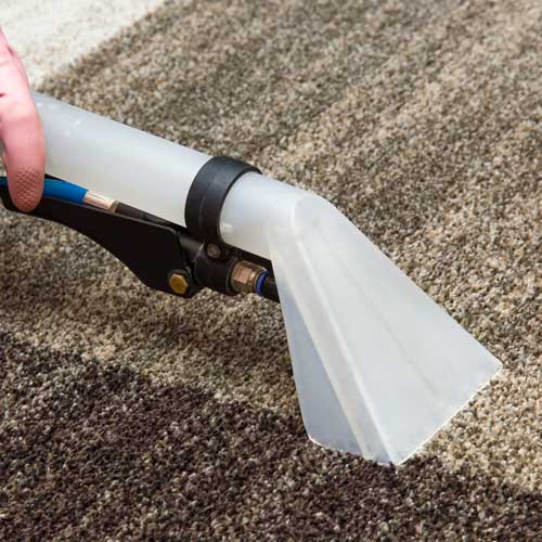 Carpet Cleaning | Bud Polley's Floor Center