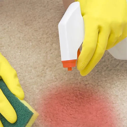 Area-rug-care-img-500-x-500