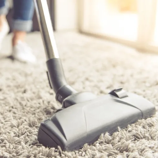 carpetcare-daily