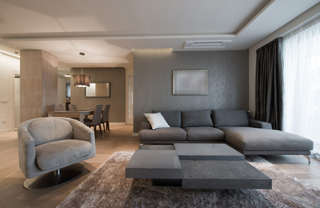 Area rug in a stylish living room